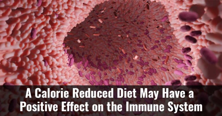 A Calorie-Restricted Diet Could Benefit the Immune System