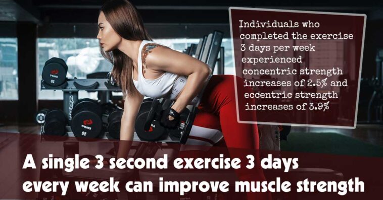 A Weekly Routine of 3-Second Exercises on 3 Days Enhances Muscle Strength