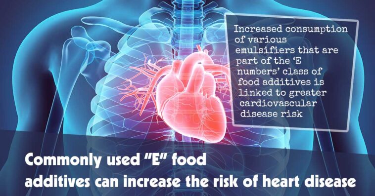 Frequently Utilized “E” Food Additives May Heighten the Risk of Heart Disease