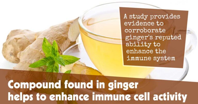 Compound in Ginger Boosts Immune Cell Function