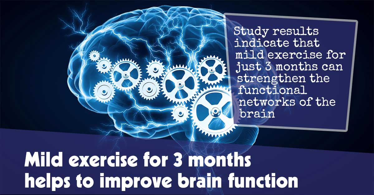 Three Months of Gentle Exercise Enhances Brain Function