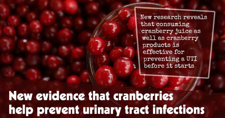 Fresh Evidence Suggests Cranberries Aid in Preventing Urinary Tract Infections