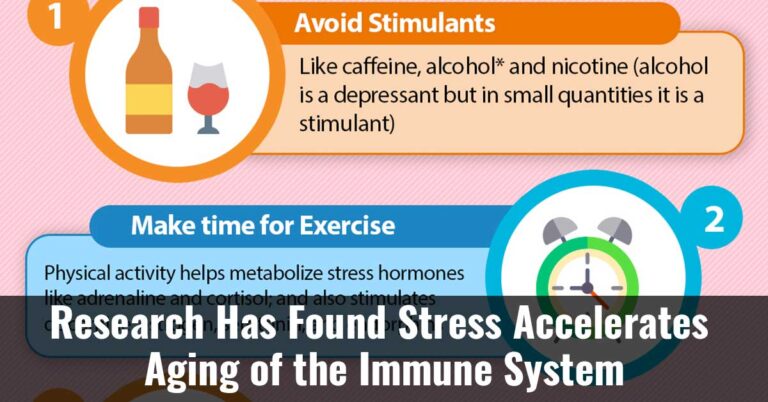 Studies Reveal Stress Hastens Aging of the Immune System