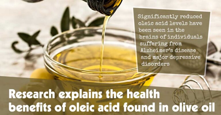 Study Unveils the Health Advantages of Oleic Acid Present in Olive Oil